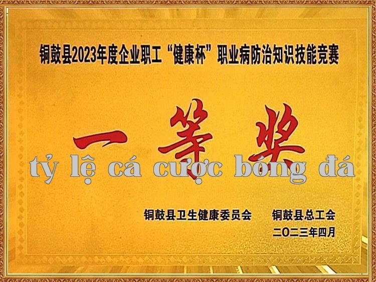 Giải nhất cuộc thi kỹ năng phòng chống bệnh nghề nghiệp