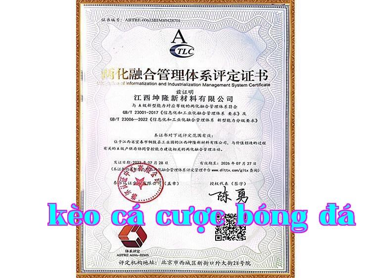 Chứng chỉ tích hợp công nghiệp hóa và hiện đại hóa